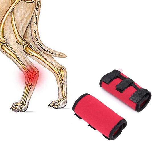 Knee Protective Gear
