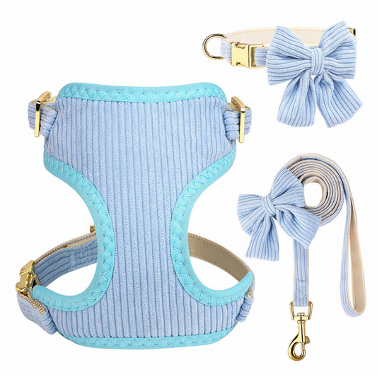 Harness with Bow and Leash