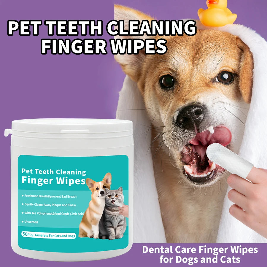 Grooming & Care Collection