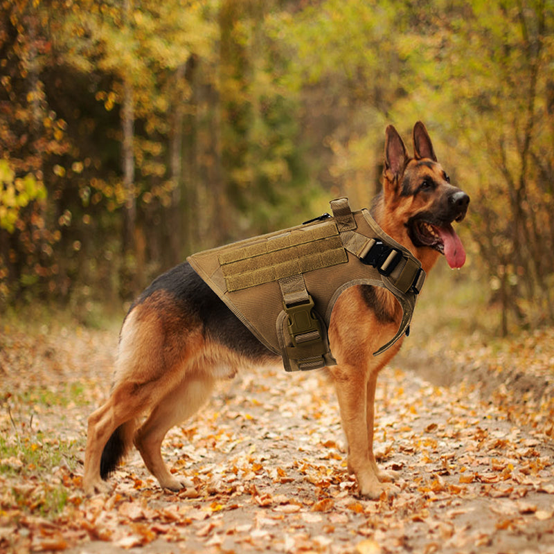 Travel & Outdoor Pet Collection