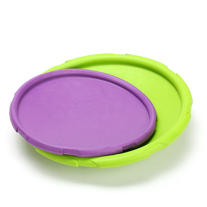 Pet Training Rubber Toys