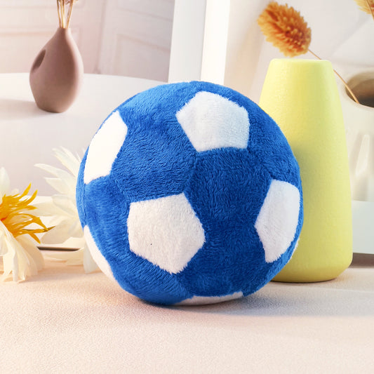 Rugby Training Toys
