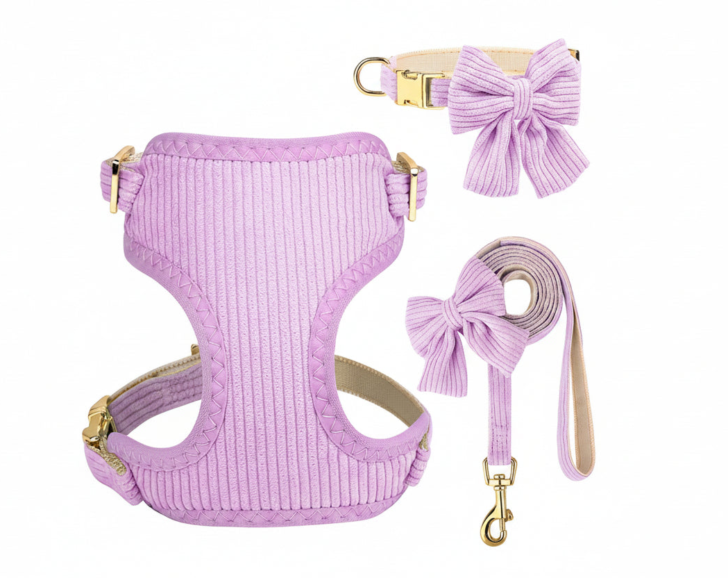 Harness with Bow and Leash