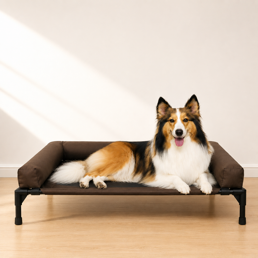 Cozy Lounge Bed