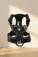 Everyday Walking Dog Harness