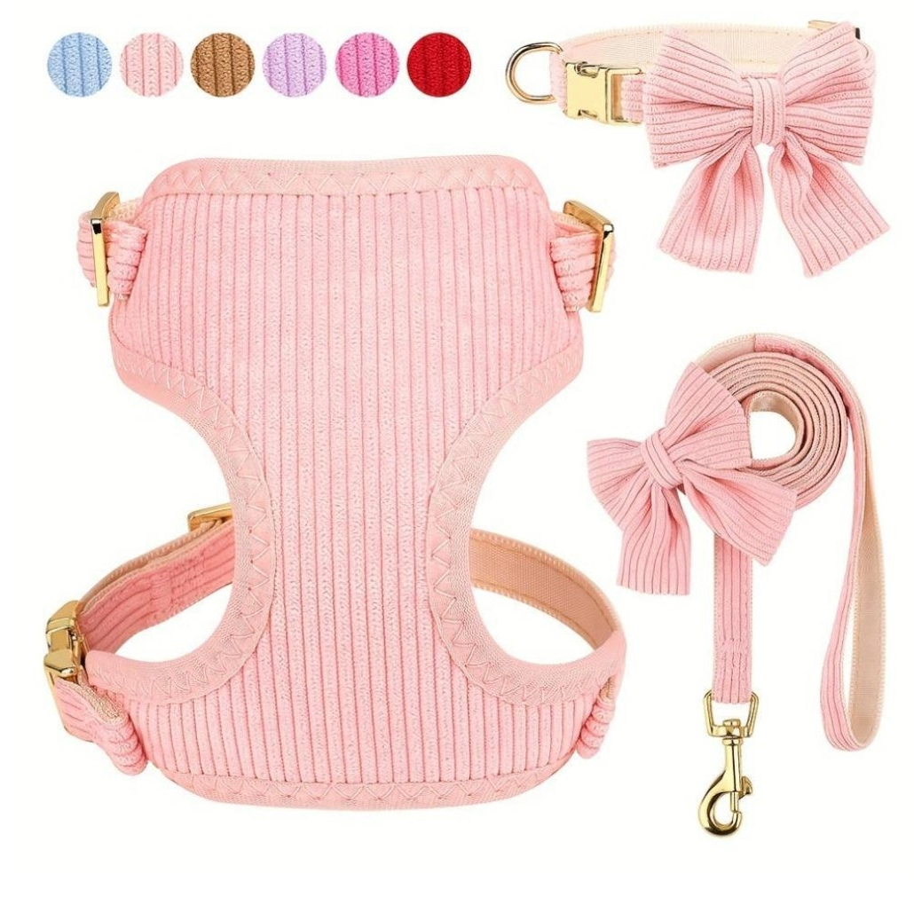 Harness with Bow and Leash