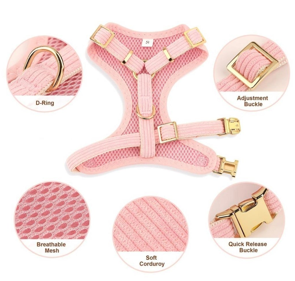Harness with Bow and Leash